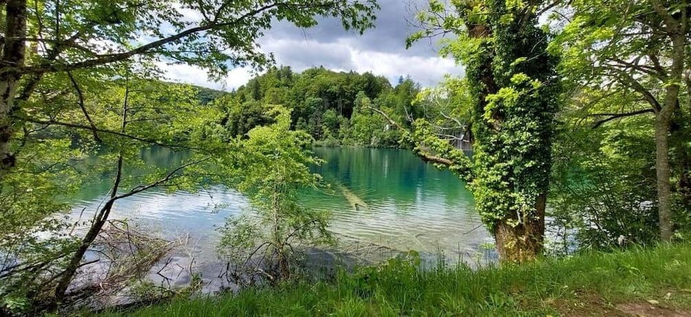 A lake surrounded by trees and greenery. 5