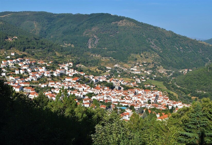 A hillside town with red-roofed buildings, dense greenery, and a mountain backdrop. 1