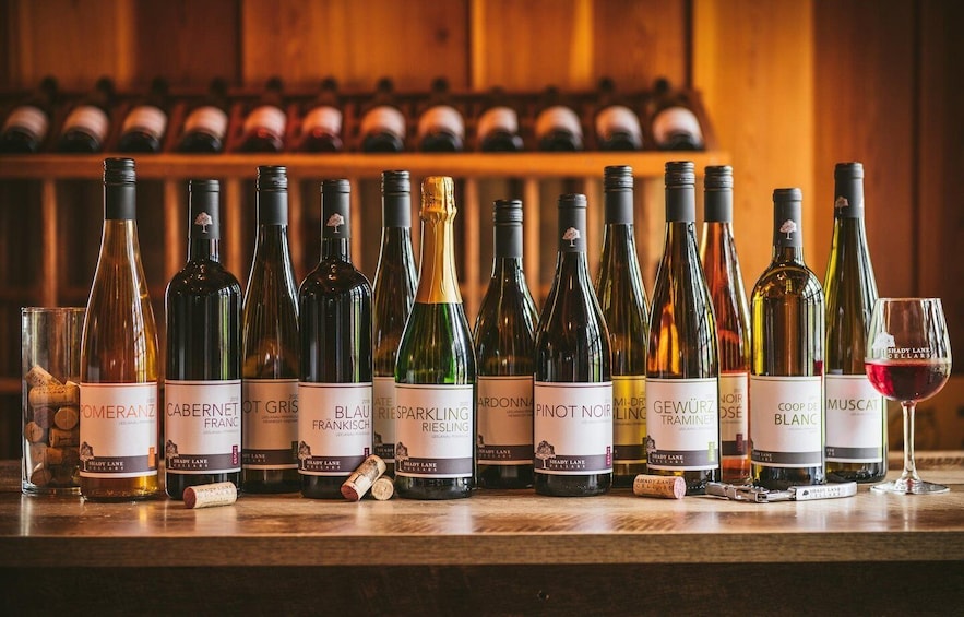A selection of wine bottles and glasses on a wooden counter with a wooden background. 2