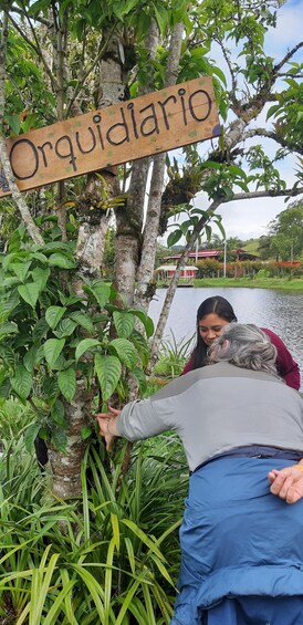 A person touching a tree with a sign that reads 'Orquidario'. 1