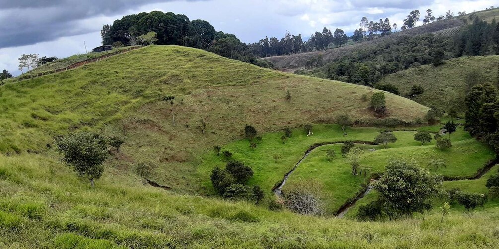 Rolling hills, a small stream, and a dense forest. 4