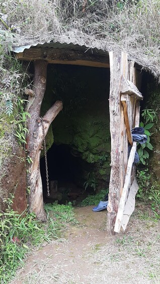 A rustic wooden structure with a partially open entrance, surrounded by vegetation. 5