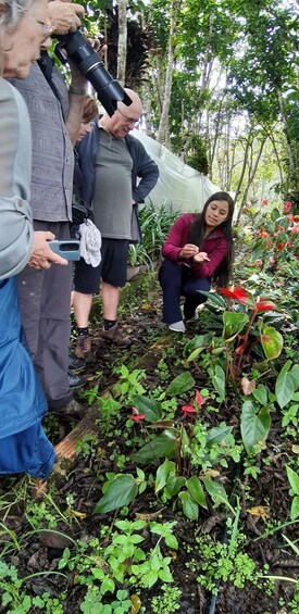 People in a garden, one holding a camera, another using a smartphone, and a third person crouching near plants. 2