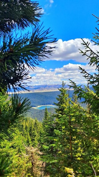 A mountainous landscape with dense coniferous trees, a clear blue sky, and a lake in the distance. 3