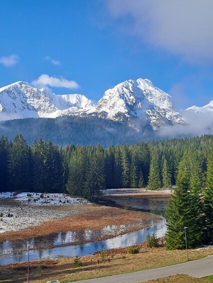 A mountain range with snow-capped peaks, a forested valley, and a river. 1