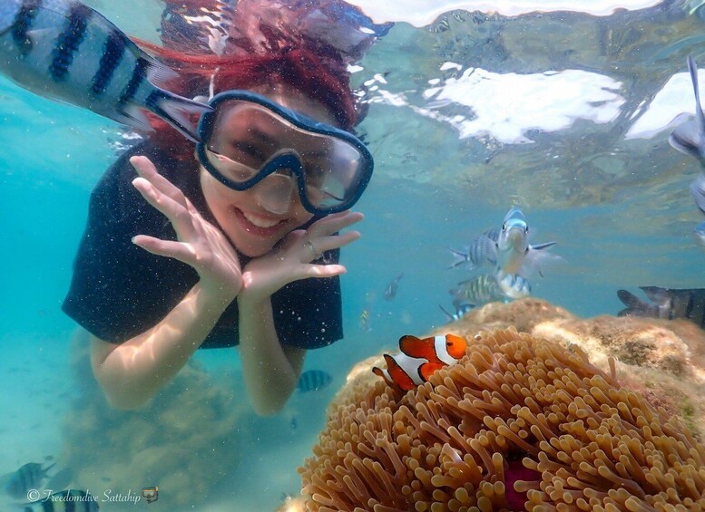 A person snorkeling underwater with a coral reef and fish in the background. 2