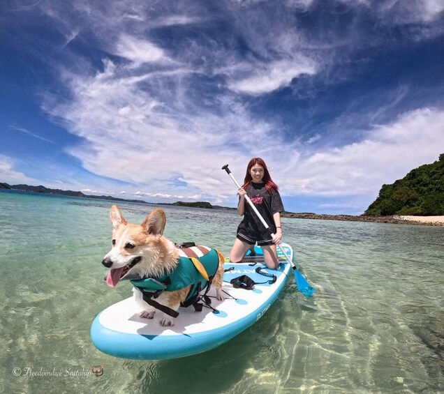 A person and a dog on a paddleboard in clear water with a beach and hills in the background. 3