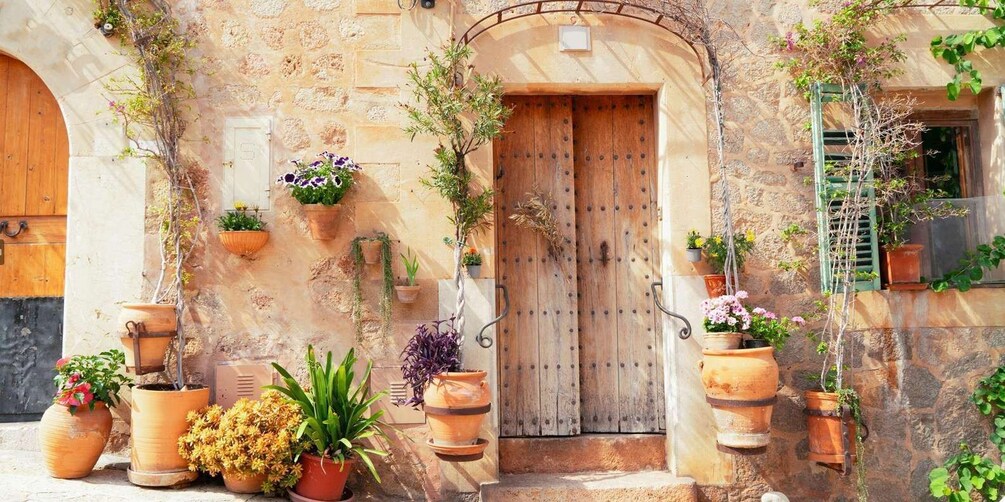 A rustic stone building with a wooden door, potted plants, and climbing vines. 2
