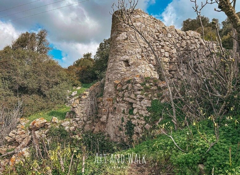 A stone ruin with vegetation growing around it. 4