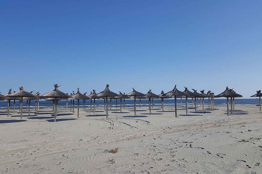 A beach with thatched umbrellas and a clear blue sky. 3