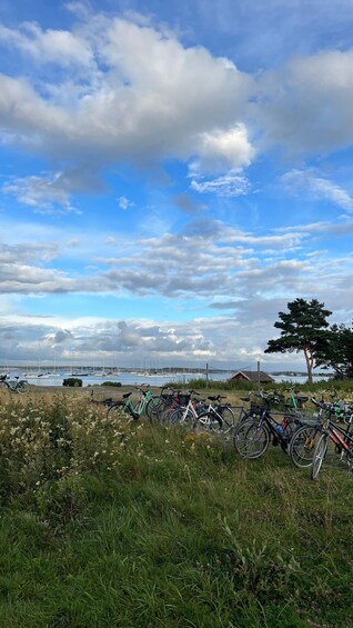 A grassy field with bicycles parked, a tree, and a distant view of boats on water. 3