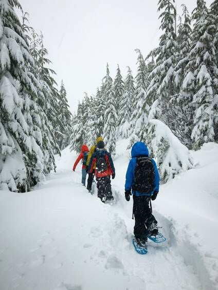 A group of people snowboarding down a snowy path surrounded by snow-covered trees. 1