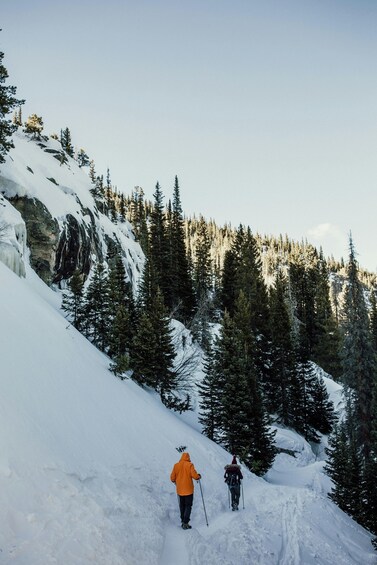 Two people hiking on a snow-covered mountain trail surrounded by evergreen trees. 2