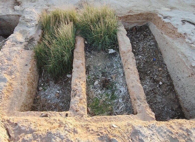 A trench with grass growing in it, surrounded by a concrete border. 3