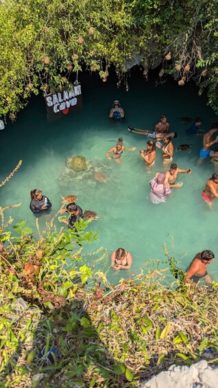 A group of people swimming in a natural pool surrounded by greenery. 4