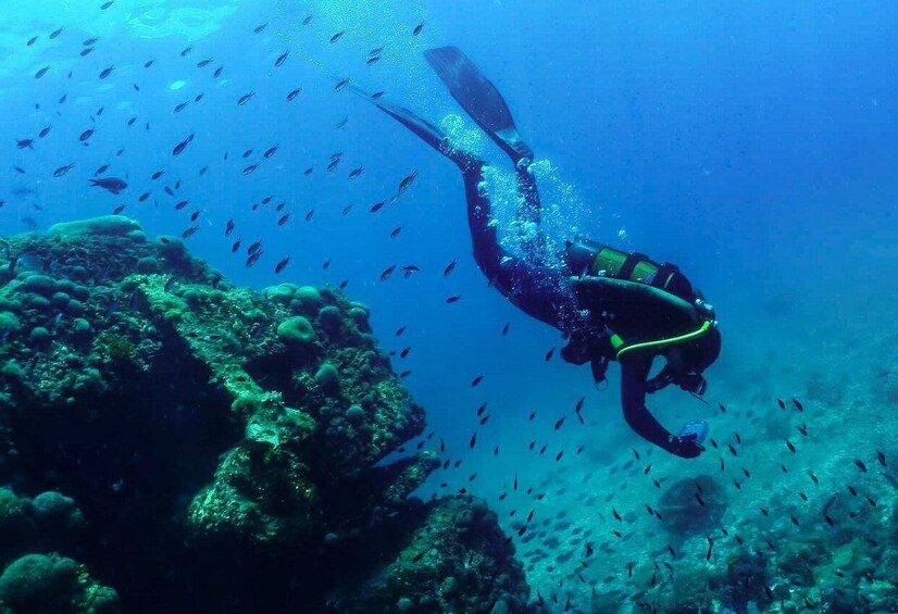 A diver surrounded by fish in a coral reef environment. 3