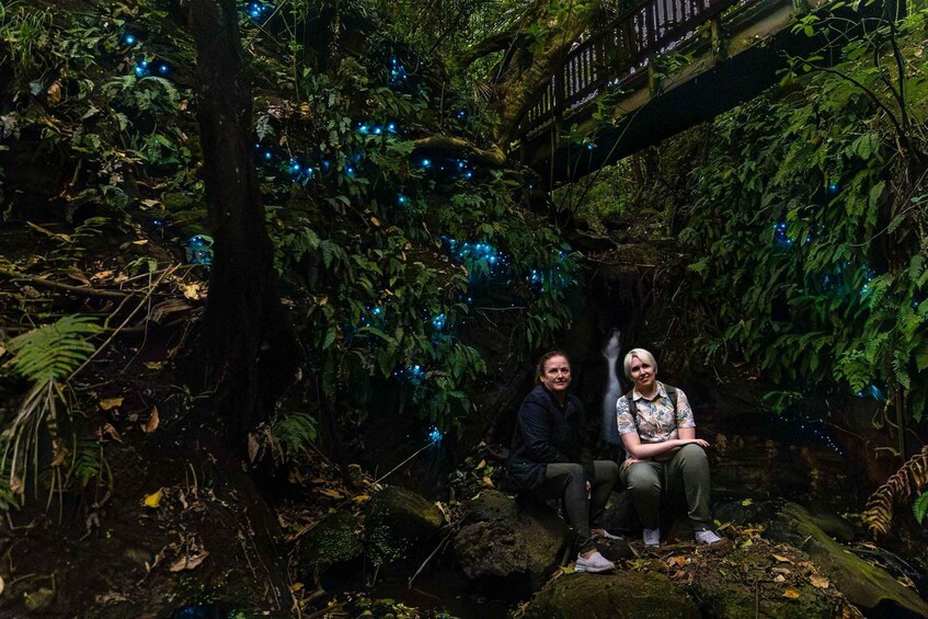 Two people sitting on a moss-covered rock in a forested area with blue lights. 1