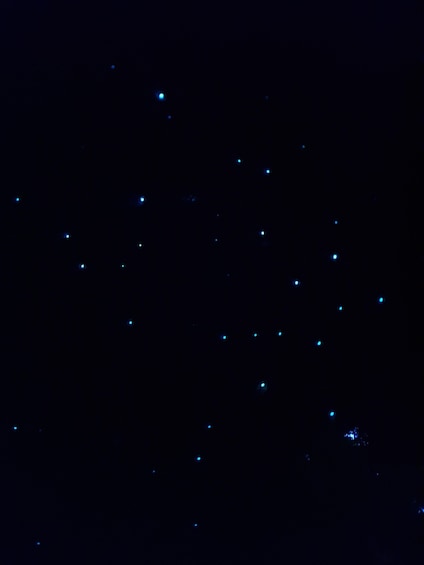 A night sky with scattered stars. 4