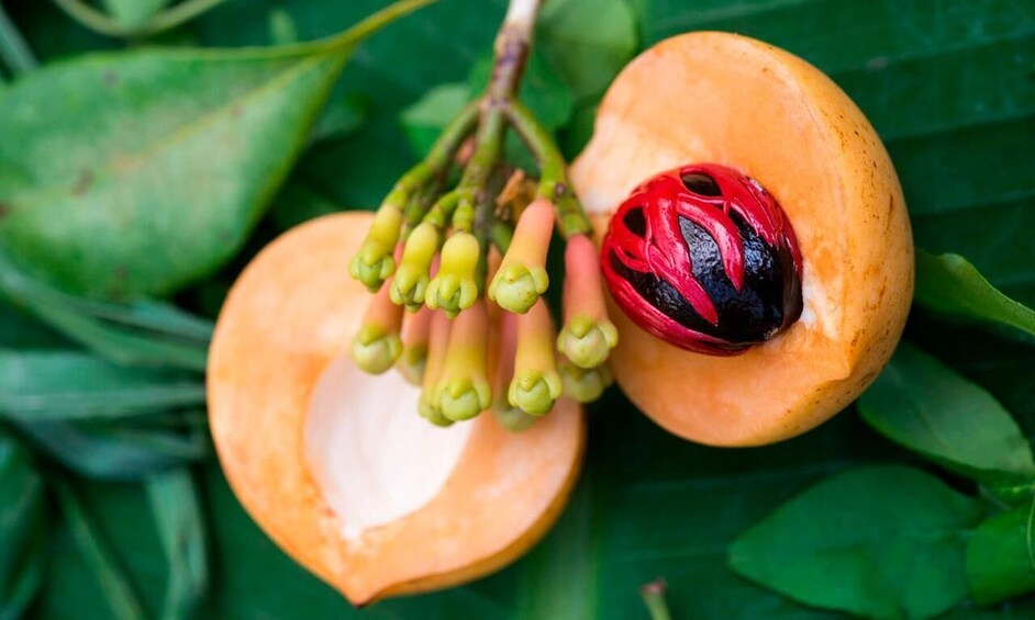 En halveret papaya med grønne stilke og et indre i rødt og sort mønster. 2