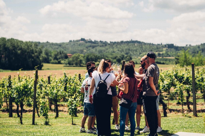 A group of people standing in a vineyard with rows of grapevines. 5