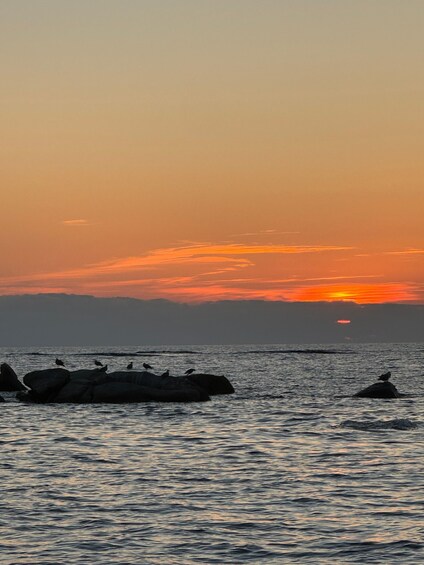 A sunset over the ocean with birds on rocks. 3