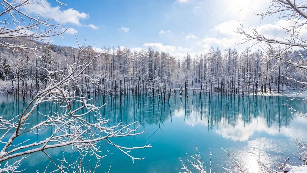 A serene winter landscape with a clear turquoise lake, snow-covered trees, and a calm sky. 4