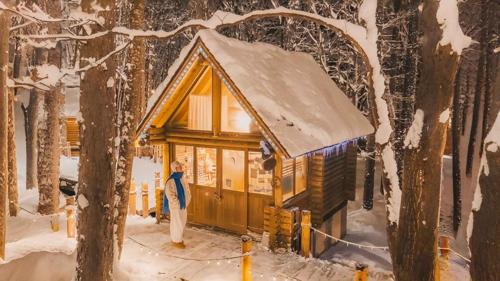 A wooden cabin with a snow-covered roof, surrounded by trees. 5