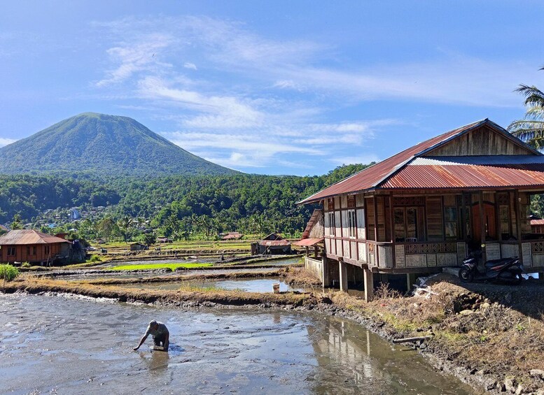 A rural landscape with terraced fields, a wooden house, and a mountain in the background. 5
