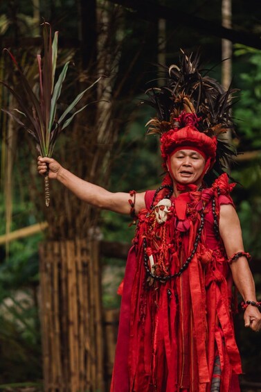 A person in a red costume with a feathered headdress, holding a fan, in a forest setting. 1