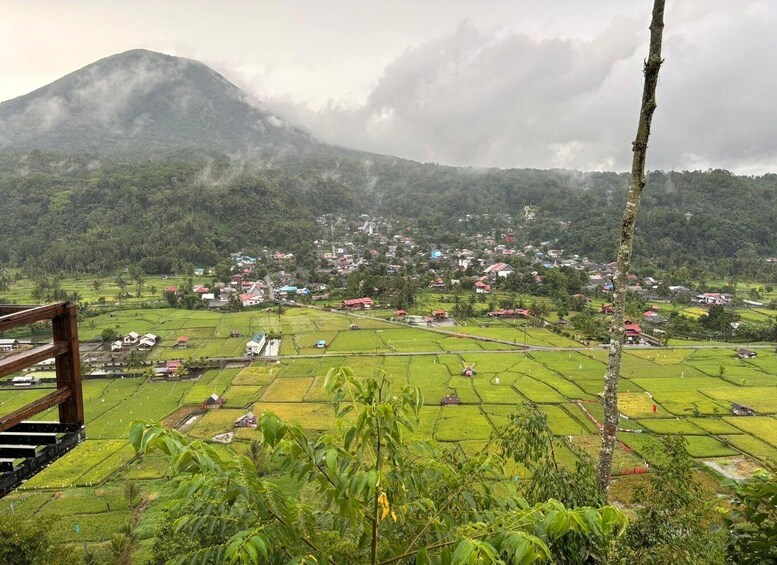 A rural landscape with terraced fields, a village, and a mountain in the background. 4
