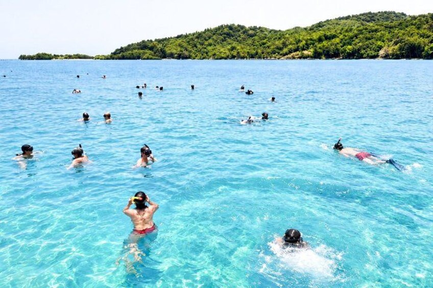 People swimming in a clear blue sea with a forested island in the background. 4