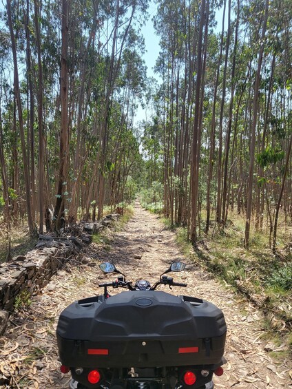 A quad bike on a forest trail surrounded by tall trees. 4