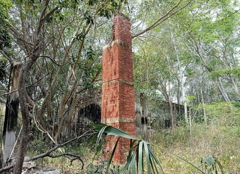 A tall brick structure surrounded by dense forest. 2