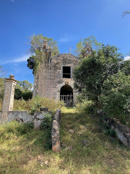 An old stone building with a bell tower, surrounded by overgrown vegetation. 5