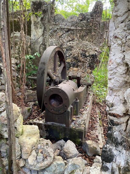 An old, rusted mechanical device with a large wheel, surrounded by rocks and vegetation. 5