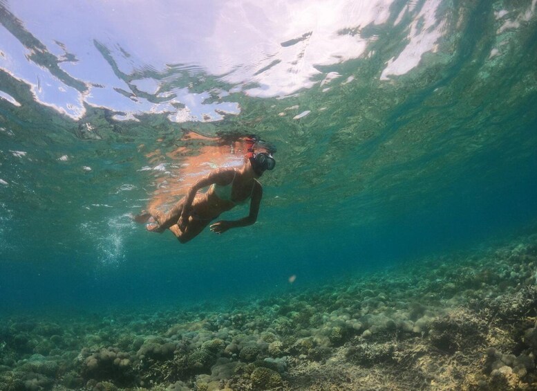 A person swimming underwater with a coral reef in the background. 1