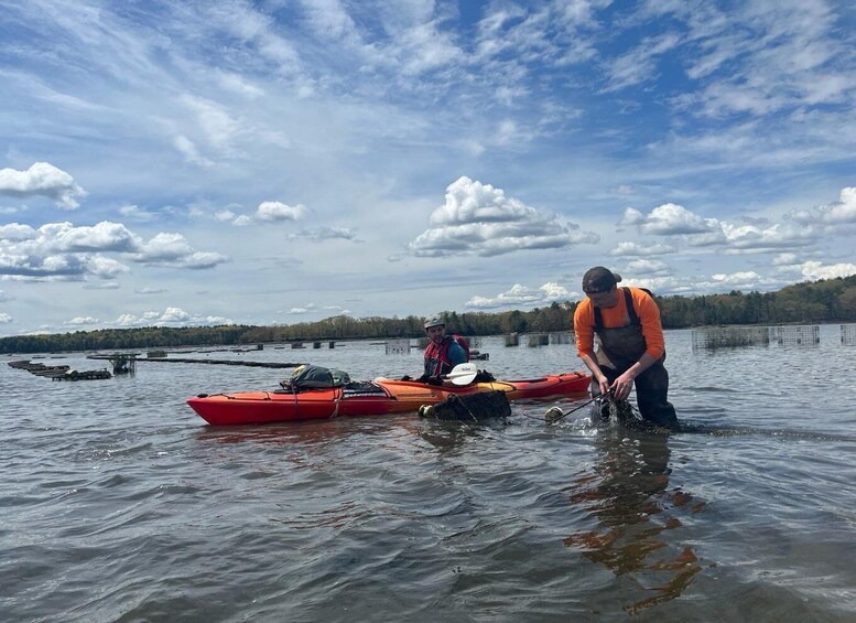 Two people in a red kayak on a calm lake with a forested shoreline. 1