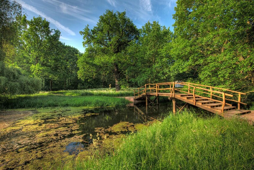 A wooden bridge over a pond surrounded by lush greenery and trees. 3