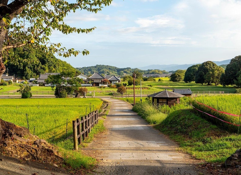 A rural pathway leading to traditional houses surrounded by fields and trees. 5