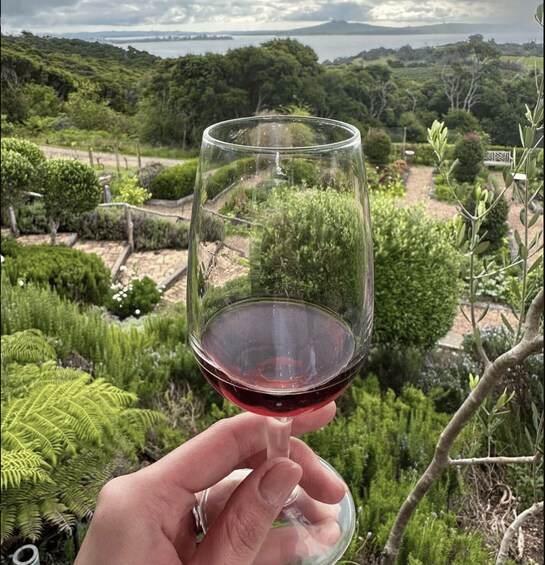 A hand holding a wine glass with a vineyard and a mountain in the background. 3
