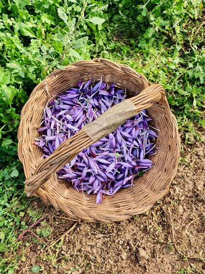 A wicker basket filled with purple flowers, placed on the ground surrounded by green foliage. 1