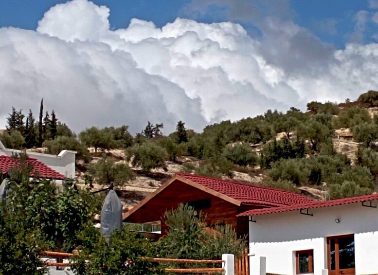A white building with a red roof, surrounded by greenery and trees, under a partly cloudy sky. 1