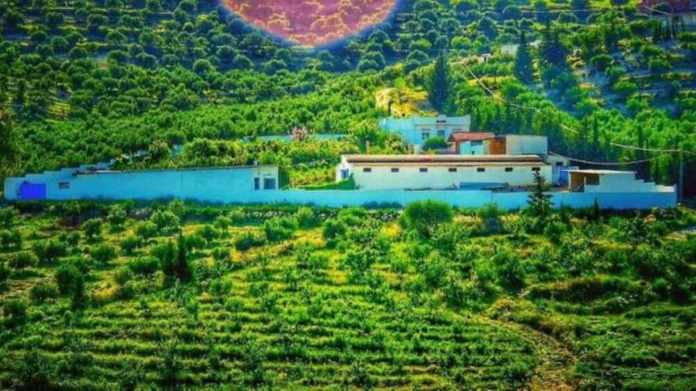 A rural landscape with a building surrounded by lush greenery and terraced fields. 4