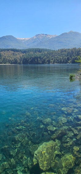 A clear lake with visible underwater rocks and a forested mountain range in the background. 5