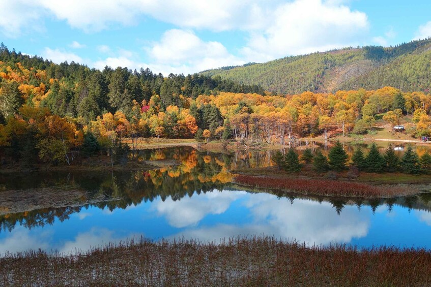 A lake surrounded by autumn-colored trees, a clear sky, and a hilly landscape. 4