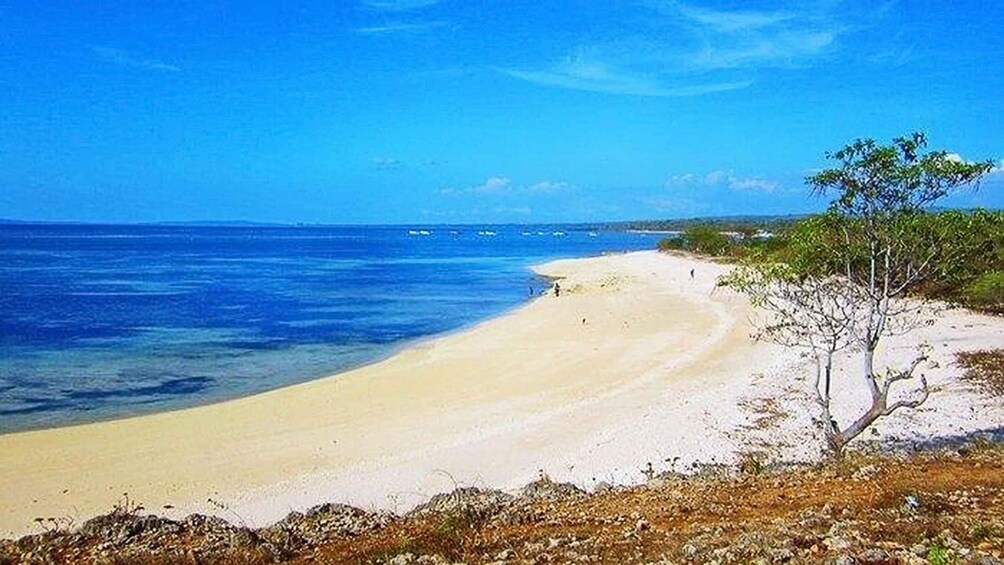 A beach with clear blue water, sandy shore, and sparse vegetation. 5