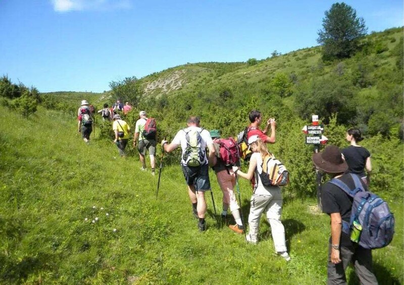 A group of hikers on a grassy trail with a signpost in the background. 1