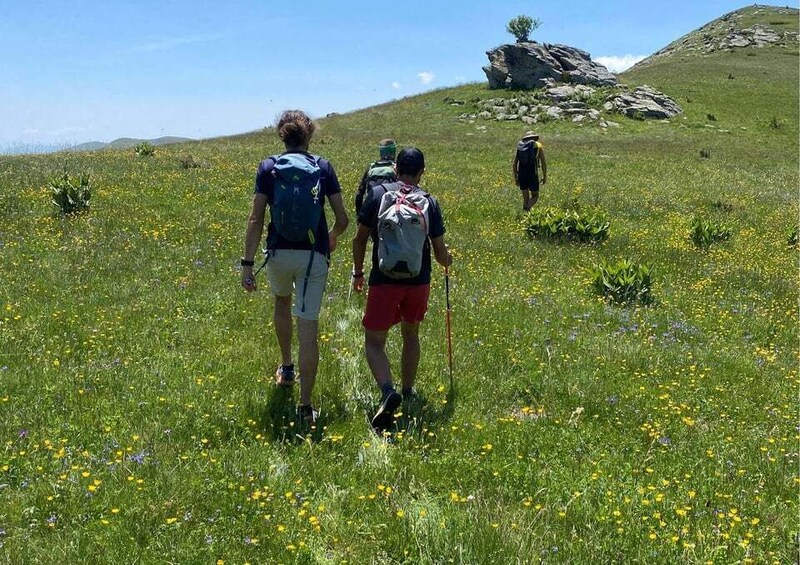 A group of hikers walking on a grassy hill with yellow flowers. 4