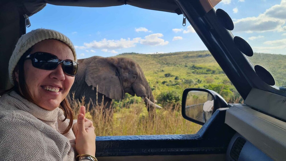 A person in a vehicle with an elephant in the background. 5