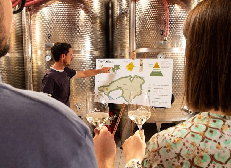 A person presenting a map titled 'The Territory' in a vineyard setting. 3